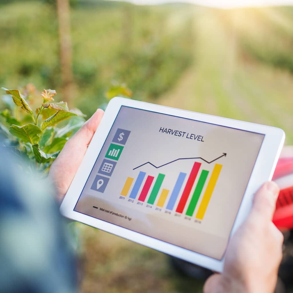 Tablet Innovation Surges as Global Shipments Rise
